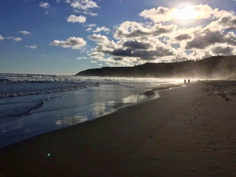 Scenic beach vista with golden sand, rolling waves, and forested cliffs