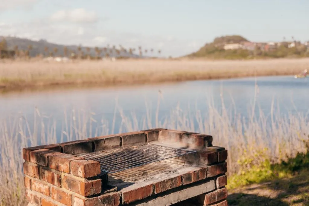 Brick braai area overlooking wetland with reed beds and lagoon views