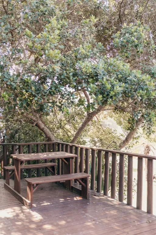 Wooden deck with picnic table and railing overlooking mature trees