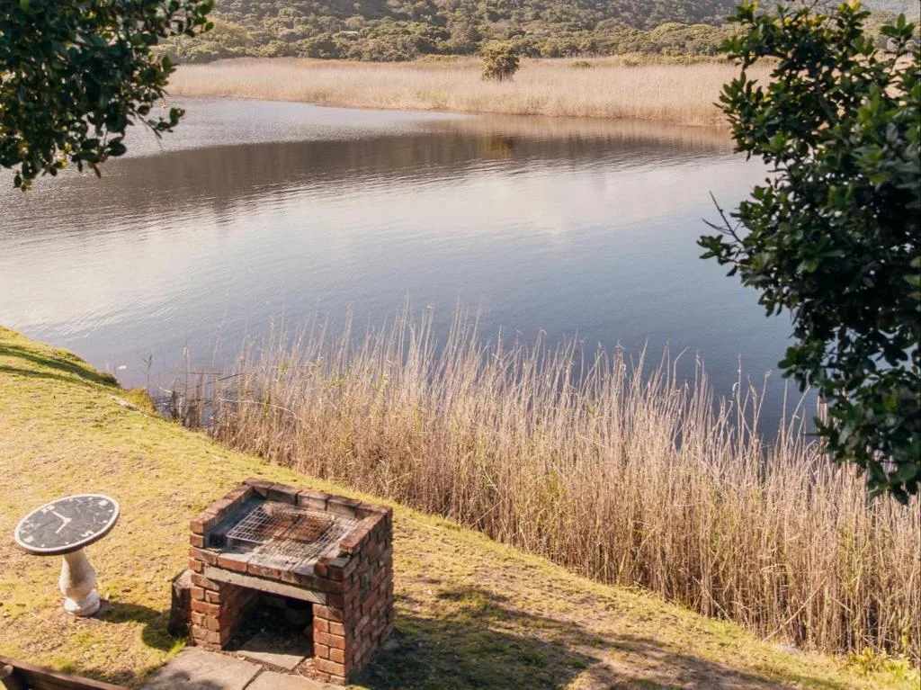 Serene lagoon view with reed beds and forested hills beyond