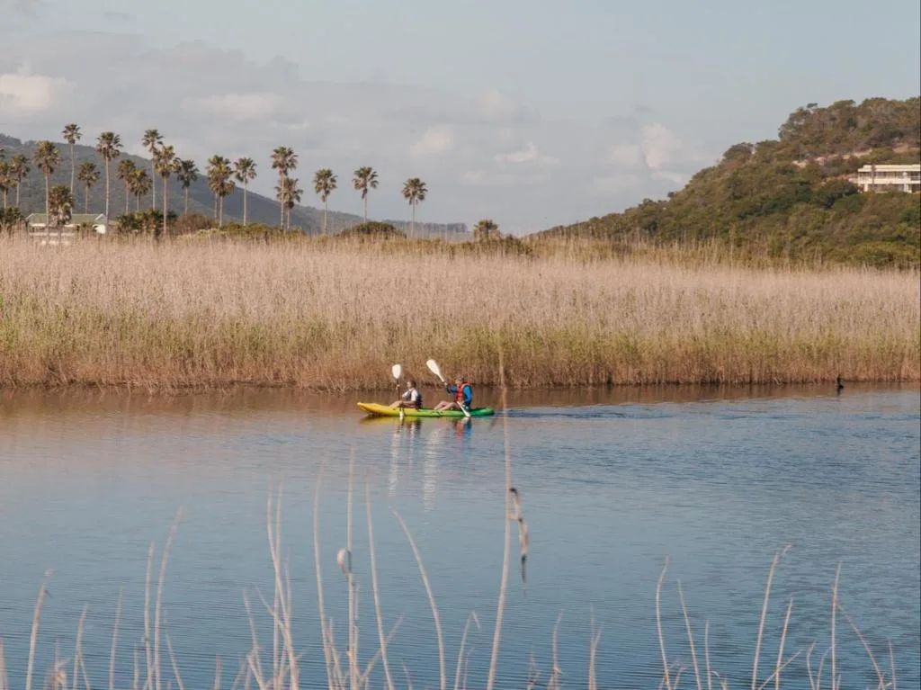 Lagoon vista with kayakers, reeds, palm trees, and hillside property