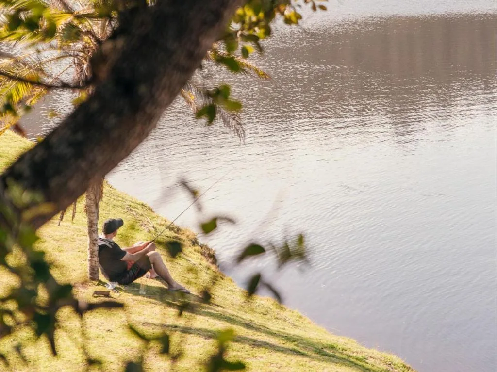 Person fishing from grassy riverbank beneath willow tree, serene water view