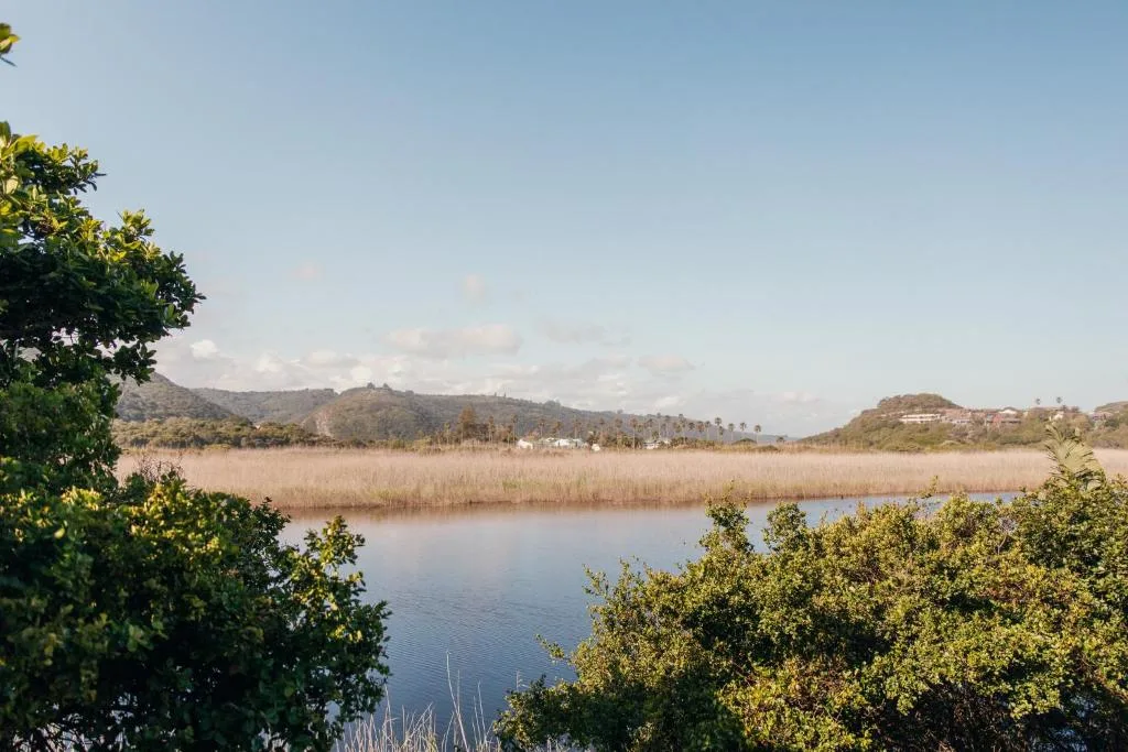 Scenic lagoon view with mountains and reeds under blue sky