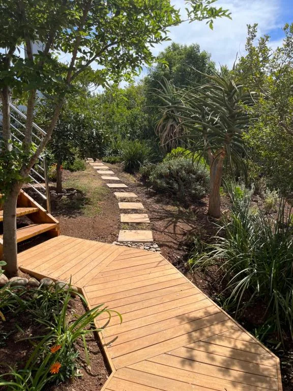 Wooden deck pathway through lush garden with tropical plants and trees