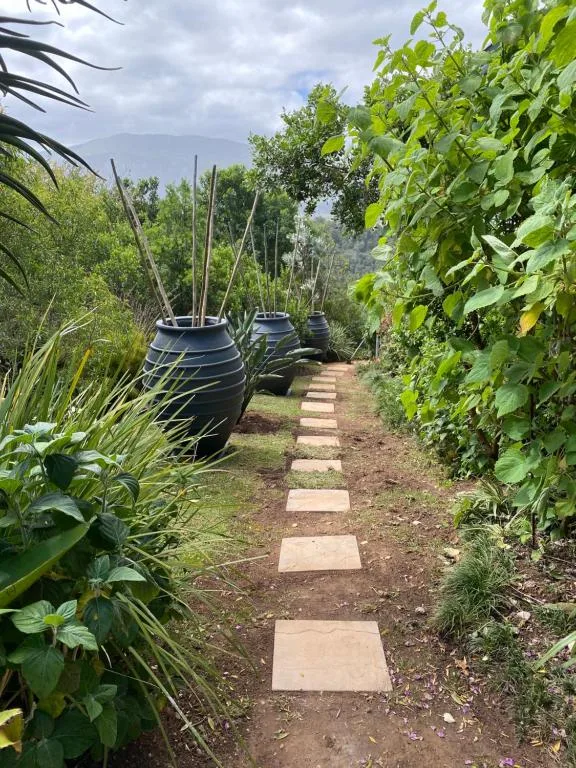 Garden pathway with stepping stones leading past planted containers and lush vegetation