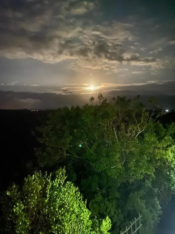 Sunset over lush green vegetation with dramatic clouded sky