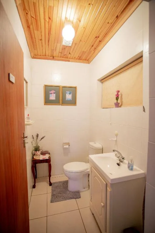 Bright bathroom with wooden ceiling, toilet, sink and decorative accents