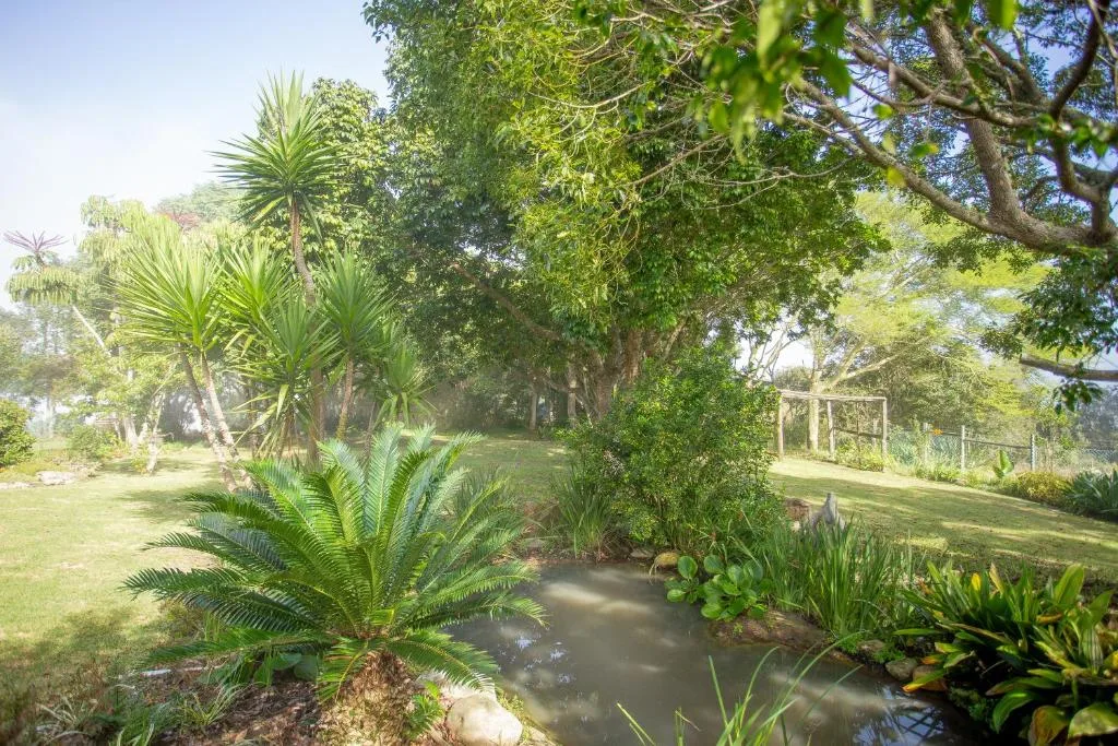Lush garden with mature trees, palms, and water feature on property grounds
