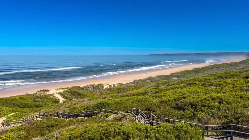 Pristine sandy beach with turquoise ocean and coastal vegetation below