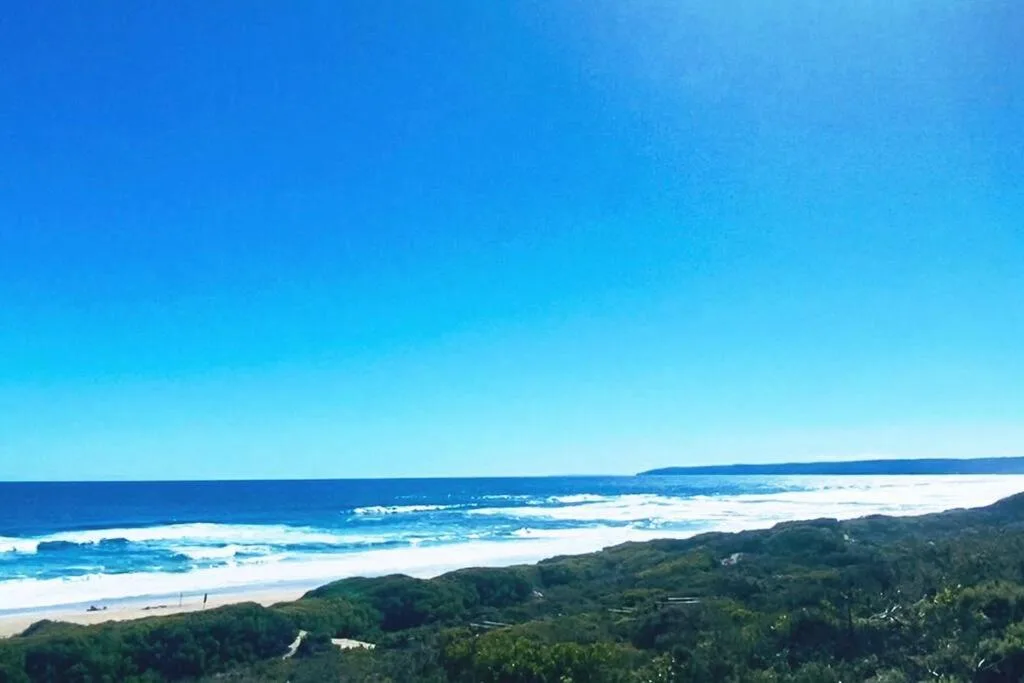 Panoramic coastal view of pristine beach, rolling waves, and lush vegetation