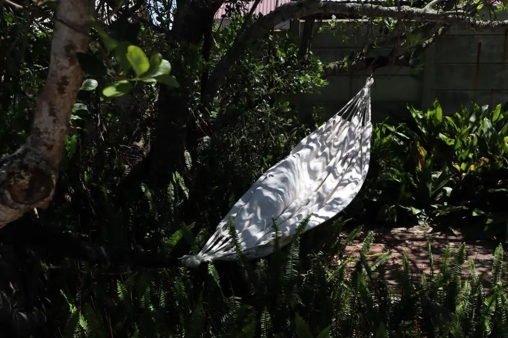 Hammock suspended in lush garden surrounded by ferns and tropical plants