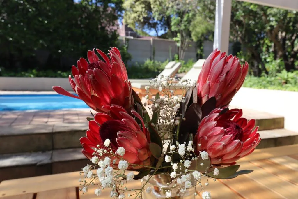 Red protea flowers in vase by poolside with loungers visible