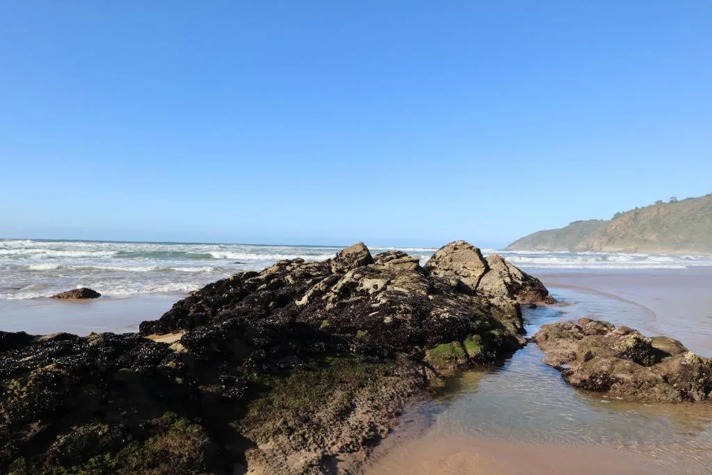 Rocky beach with waves, cliffs, and expansive ocean horizon view