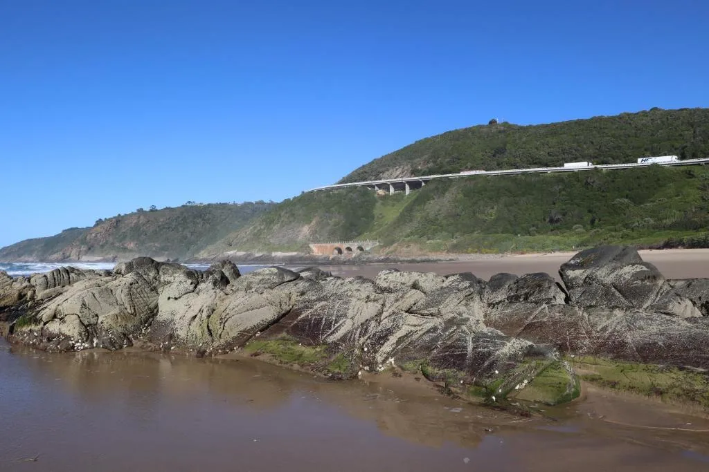 Scenic coastal beach view with rocky shoreline and forested cliffs