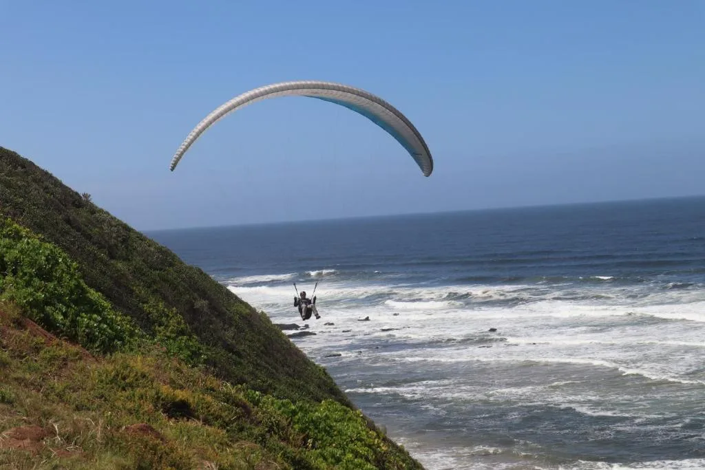 Paraglider soaring above dramatic coastline with breaking waves and cliffs