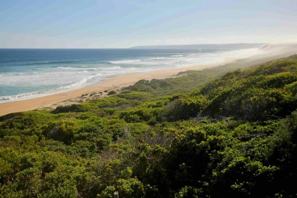 Scenic coastal view with golden beach, lush green vegetation, and ocean waves