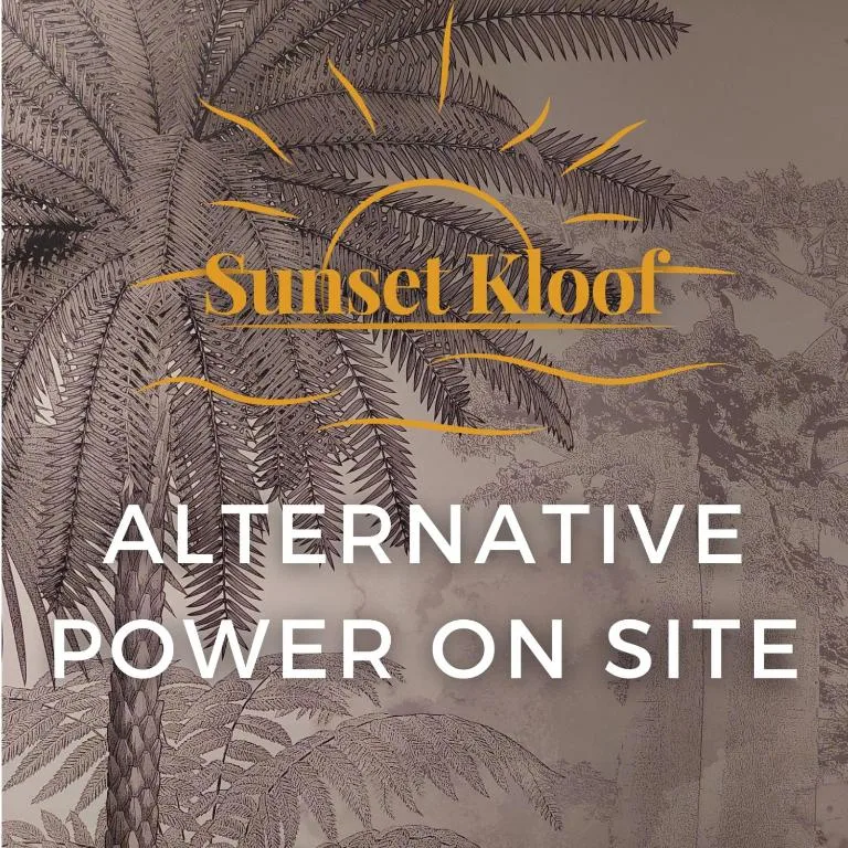 Sunset Kloof property branding with palm tree illustration and sun logo