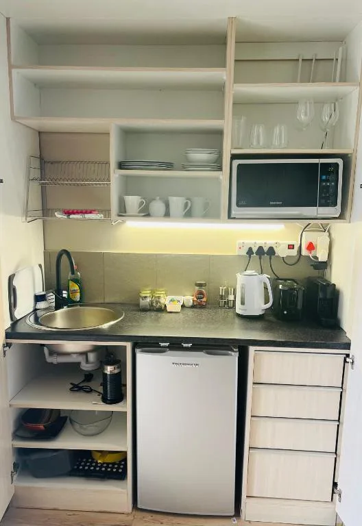 Compact kitchenette with microwave, sink, mini fridge, and open shelving