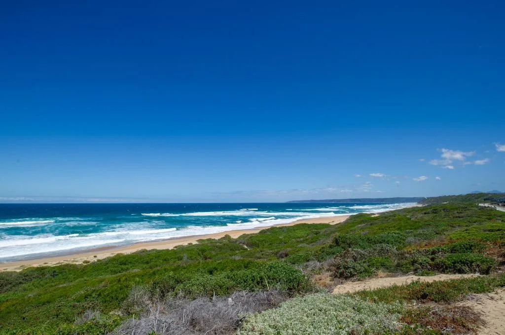 Pristine sandy beach with turquoise waves and green coastal vegetation