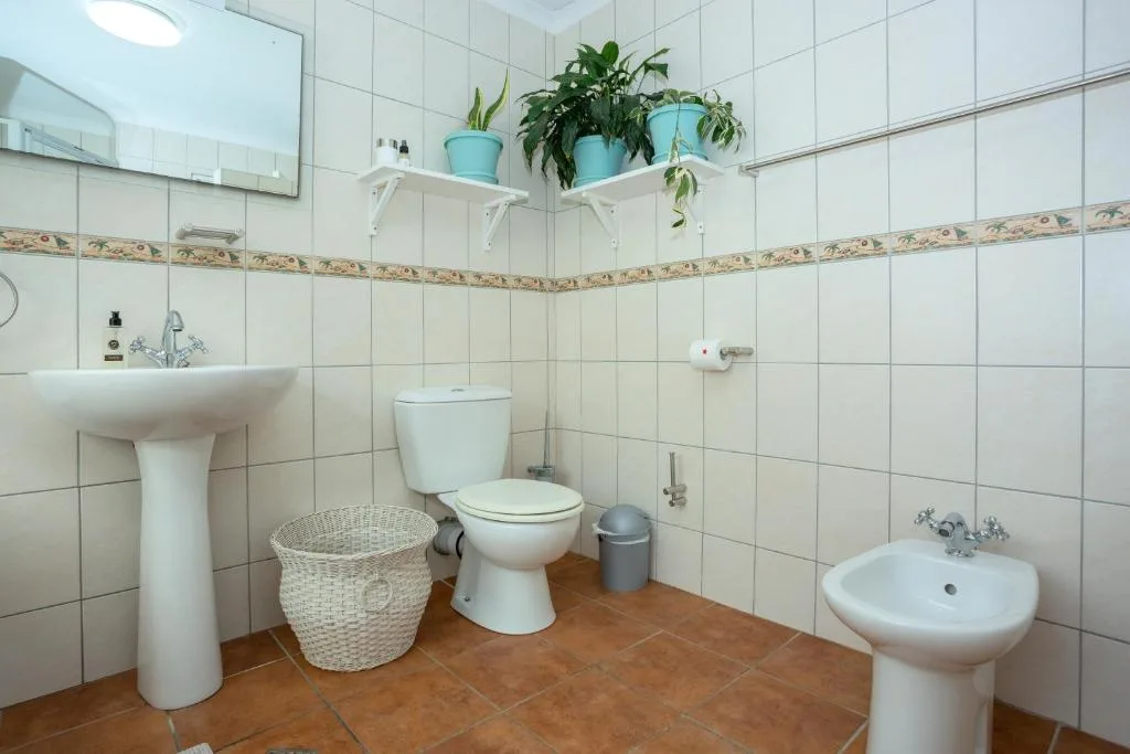 Bright bathroom with pedestal sink, toilet, bidet, and potted plants on shelf
