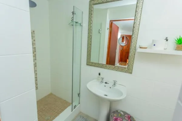 Modern bathroom with shower enclosure, pedestal sink, and framed mirror