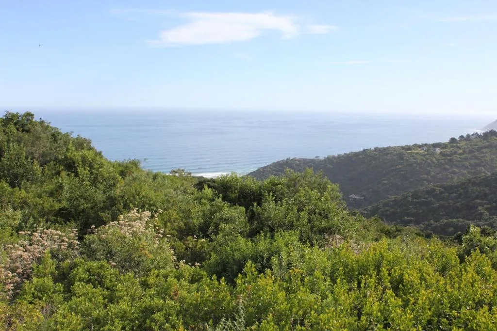 Coastal ocean view over forested hills and vegetation landscape