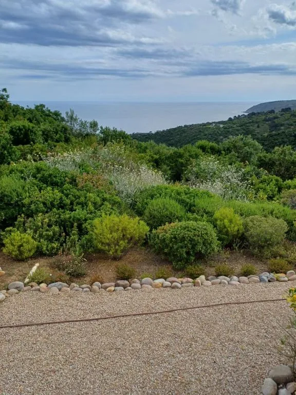 Scenic coastal view with forested hills and distant ocean horizon