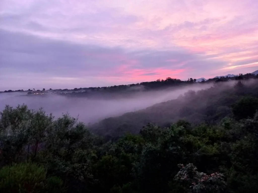 Misty valley sunrise with pink sky and forested hills at dawn