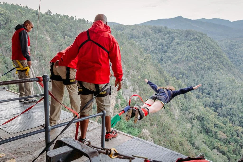 Adventure activity setup with safety equipment overlooking forested mountain landscape