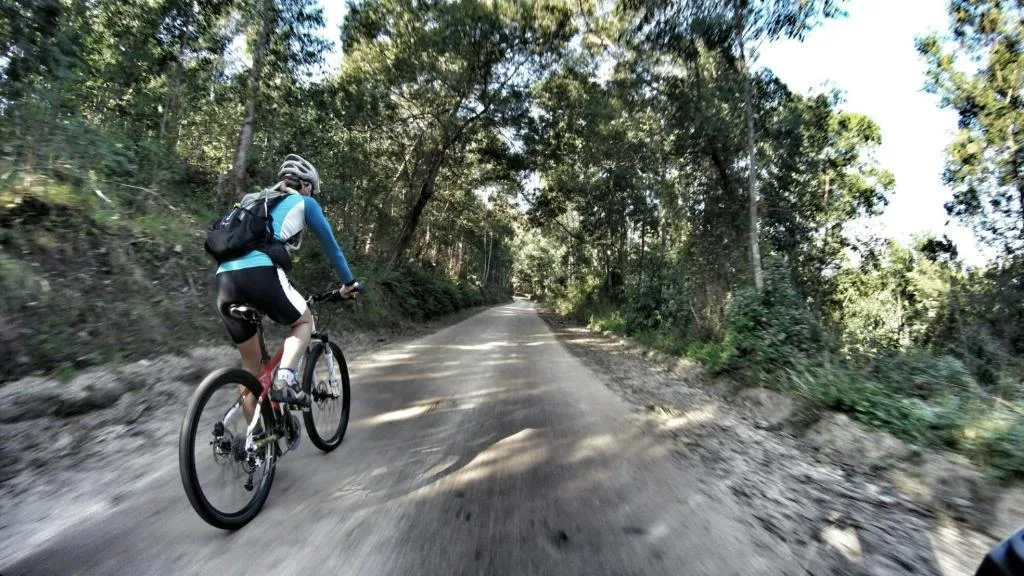 Cyclist riding on tree-lined rural road through lush forest landscape