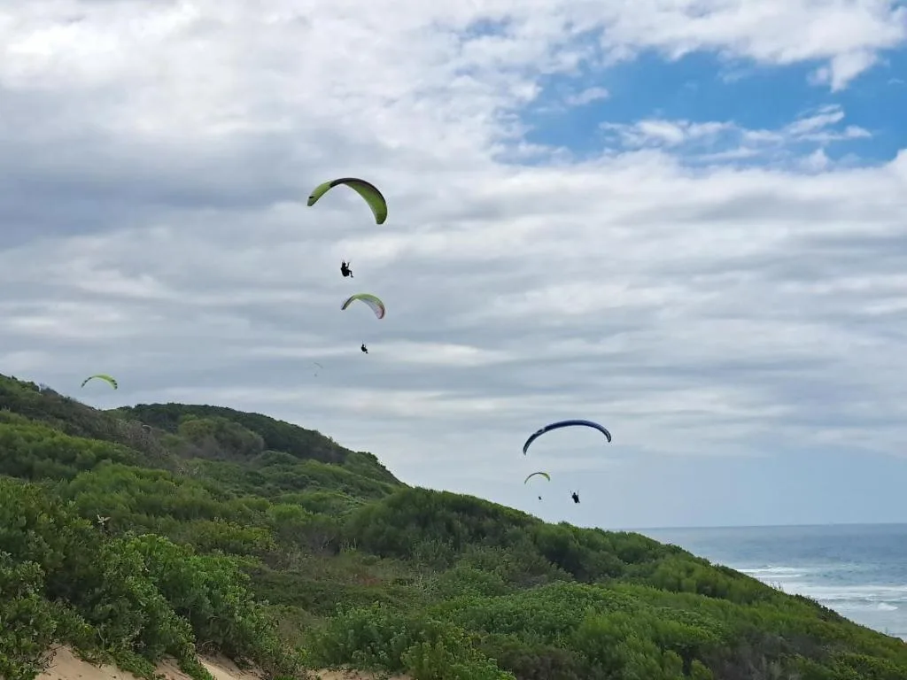 Paragliders soaring above lush coastal cliffs with ocean horizon beyond