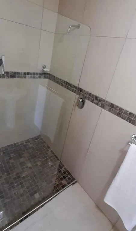 Modern walk-in shower with glass partition and mosaic tile detailing