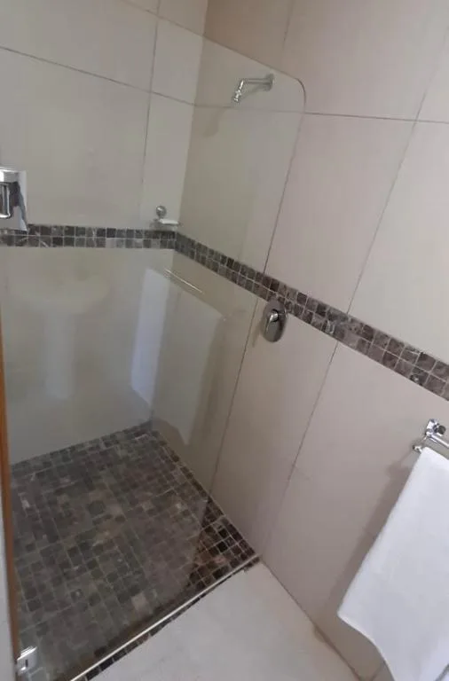 Modern walk-in shower with glass enclosure and dark tile flooring