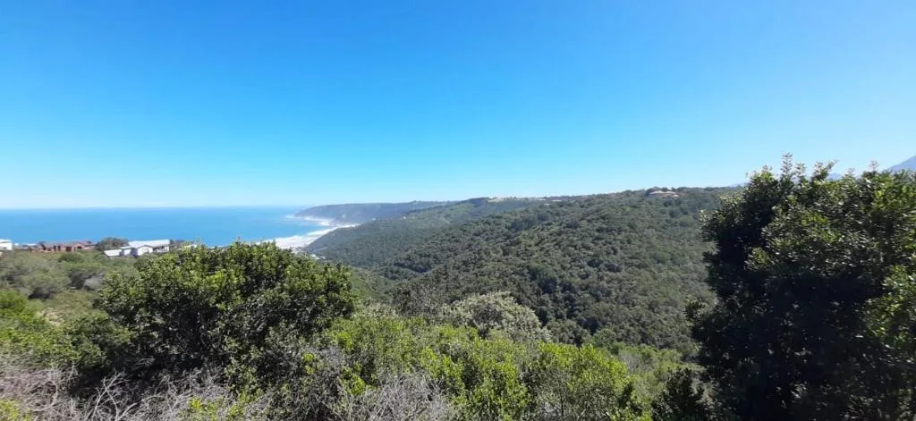 Scenic coastal vista with forested mountains and pristine beach below