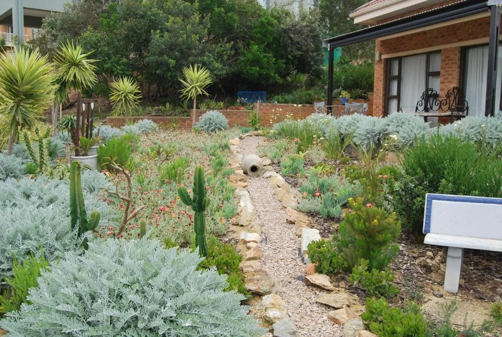 Drought-resistant garden with succulents and cacti leading to brick cottage