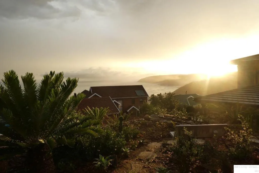 Golden sunset over ocean and mountains from property grounds with vegetation