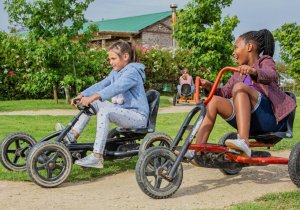 Pedal Go Carts at Redberry Farm